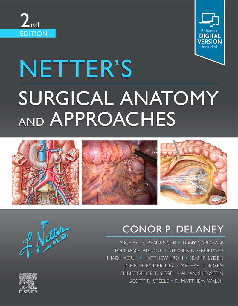 Netter's Surgical Anatomy and Approaches, 2/e