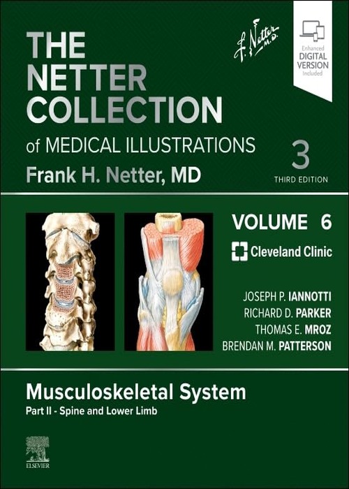 The Netter Collection of Medical Illustrations: Musculoskeletal System, Volume 6, Part II - Spine and Lower Limb: 3ed