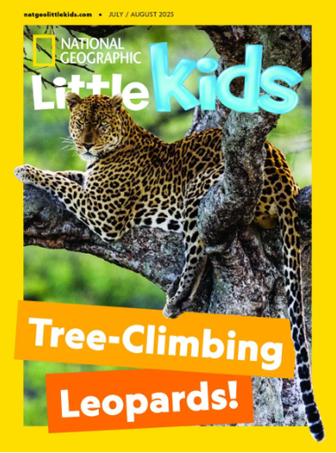 [S9771934836003] National Geographic Little Kids (US Ed.)
